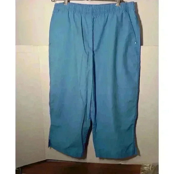 "HASTING & SMITH" Women's Blue Capri Elastic waist‎ Pants Size PL petite - Picture 1 of 7